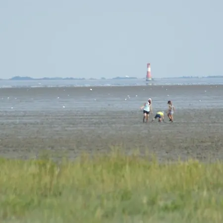 Apartament Robbennest, Am Alten Deich 24 2 Dangast